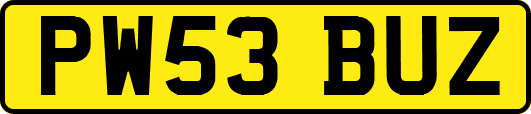 PW53BUZ