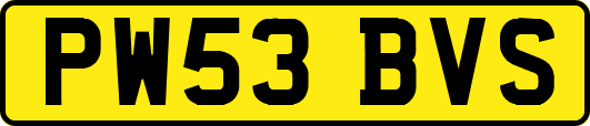 PW53BVS