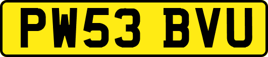 PW53BVU