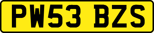 PW53BZS