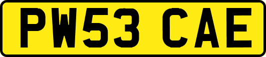 PW53CAE