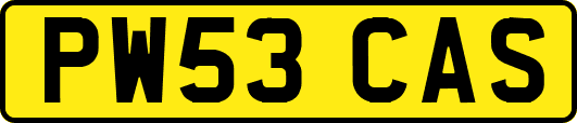 PW53CAS