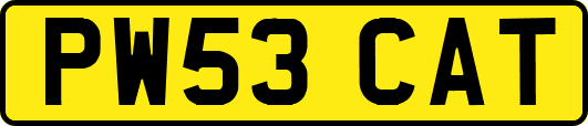 PW53CAT