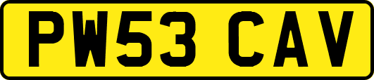 PW53CAV
