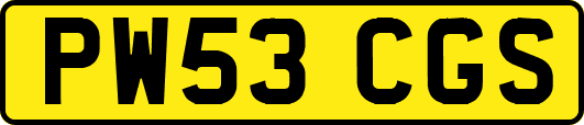 PW53CGS