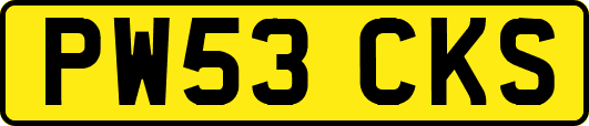 PW53CKS