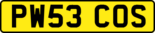 PW53COS