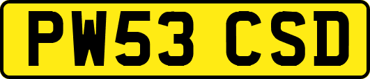 PW53CSD