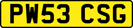 PW53CSG