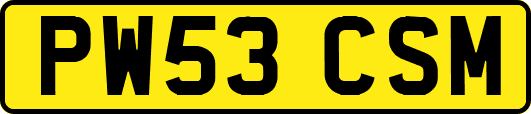 PW53CSM