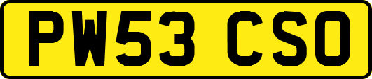PW53CSO