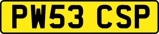 PW53CSP