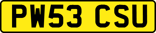 PW53CSU