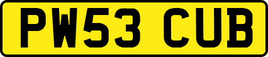 PW53CUB