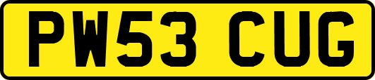 PW53CUG