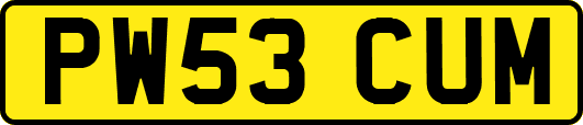 PW53CUM