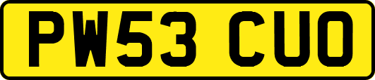 PW53CUO