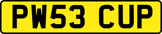 PW53CUP