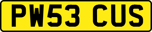 PW53CUS