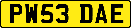 PW53DAE