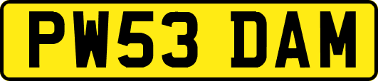 PW53DAM