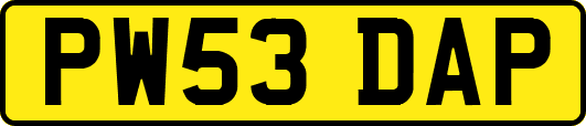 PW53DAP