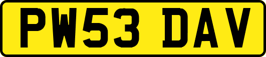 PW53DAV