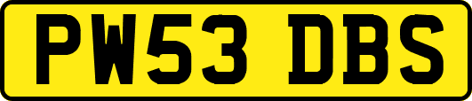PW53DBS