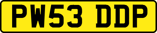 PW53DDP