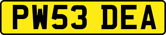 PW53DEA