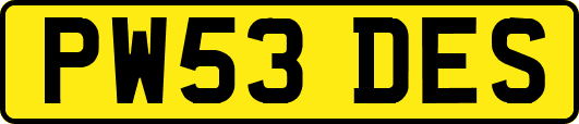 PW53DES