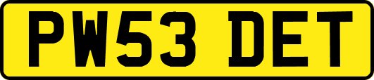 PW53DET
