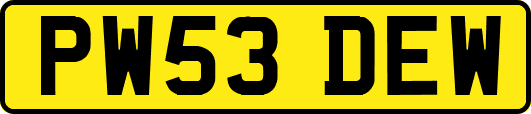 PW53DEW