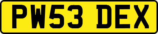 PW53DEX