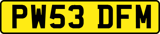 PW53DFM
