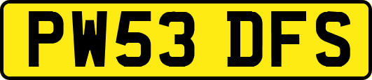 PW53DFS