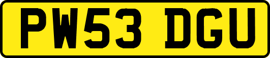 PW53DGU