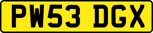 PW53DGX