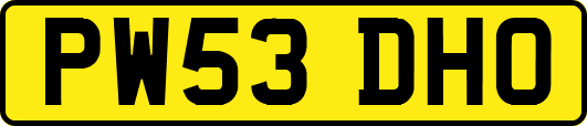 PW53DHO
