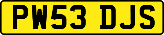 PW53DJS