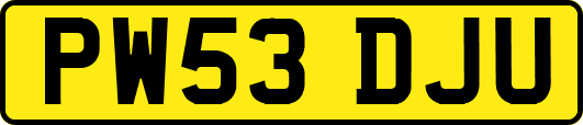 PW53DJU