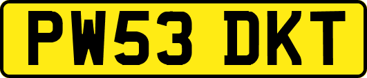PW53DKT