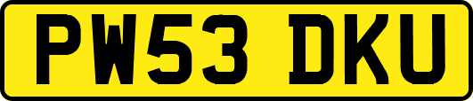 PW53DKU