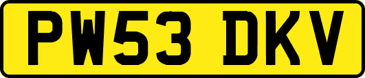 PW53DKV
