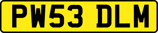 PW53DLM