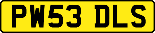PW53DLS