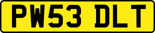 PW53DLT