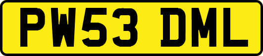PW53DML