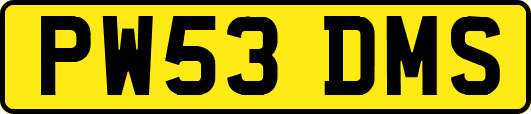 PW53DMS