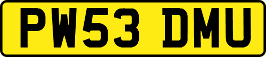 PW53DMU
